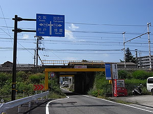 RzdS{