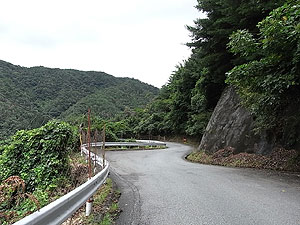 山肌に沿ってクネクネ