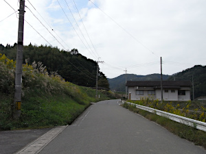啽EjW